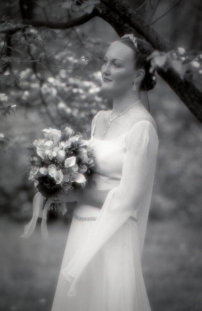 Ellen-beach-Wedding-100.jpg